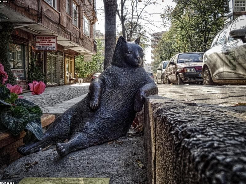 Expedición Titán del Océano: Nado con el Tiburón Ballena