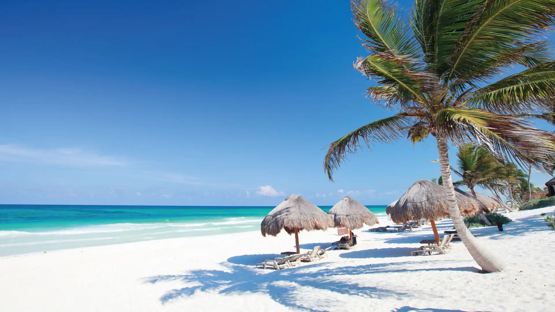 Quintana Roo un tesoro dentro del caribe