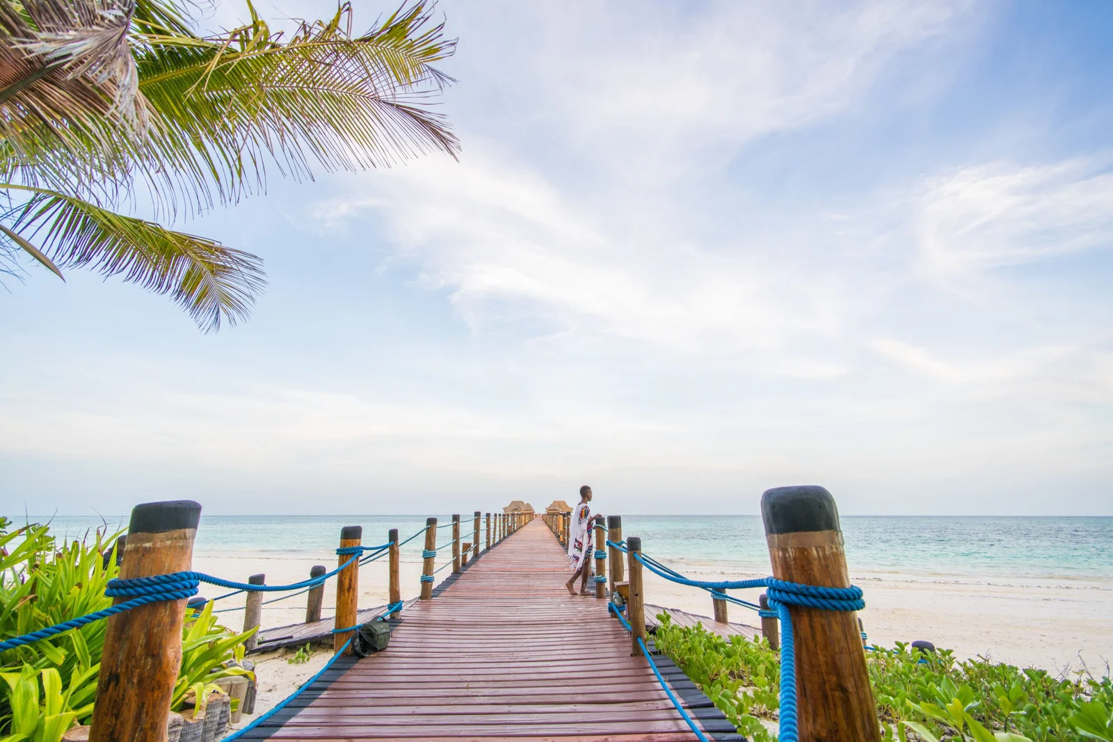 Tours y excursiones en Cancún y la región circundante