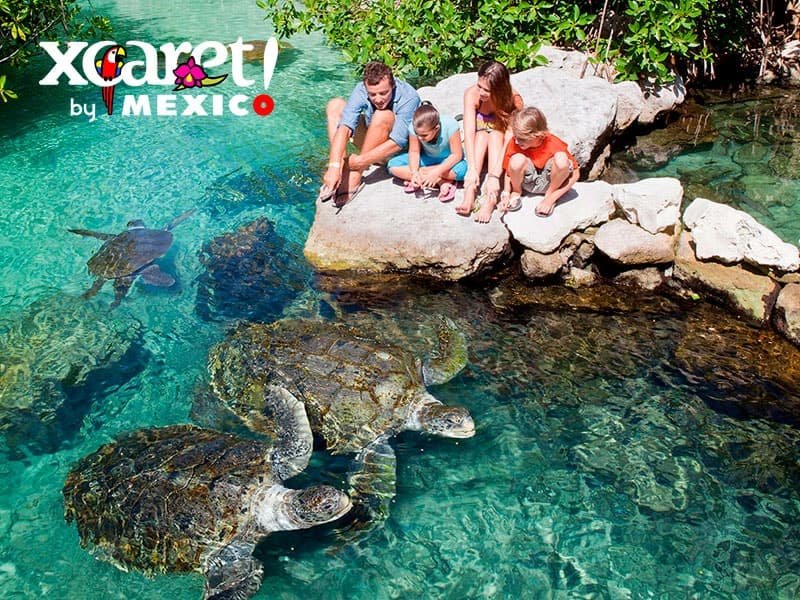 Visitar algún parque ecológico de la región de la Riviera Maya