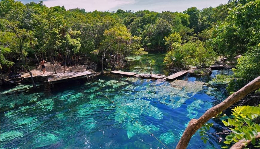 Cenotes Cerca de Playa del Carmen: 7 Opciones Mágicas para Nadar y Hacer Snorkel
